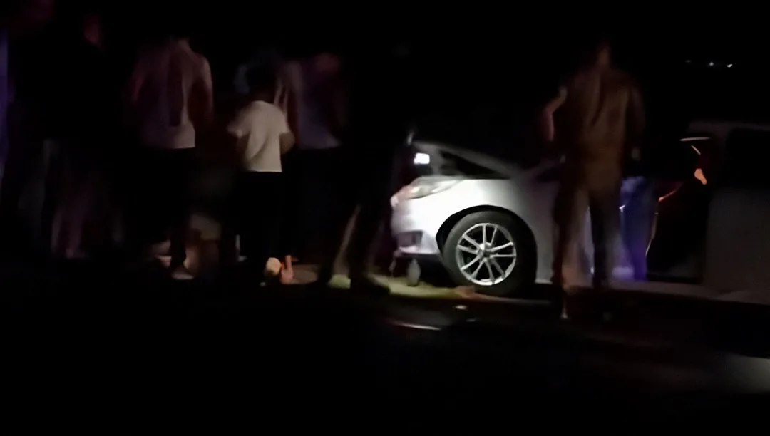 Van'da otomobilün çarptığı koyunların bulunduğu olay yerinin görüntüsü