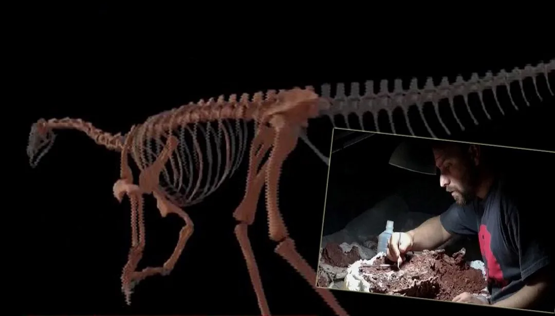 En eski dinozorun fosil kemiklerinin sergilendiği bir sahne