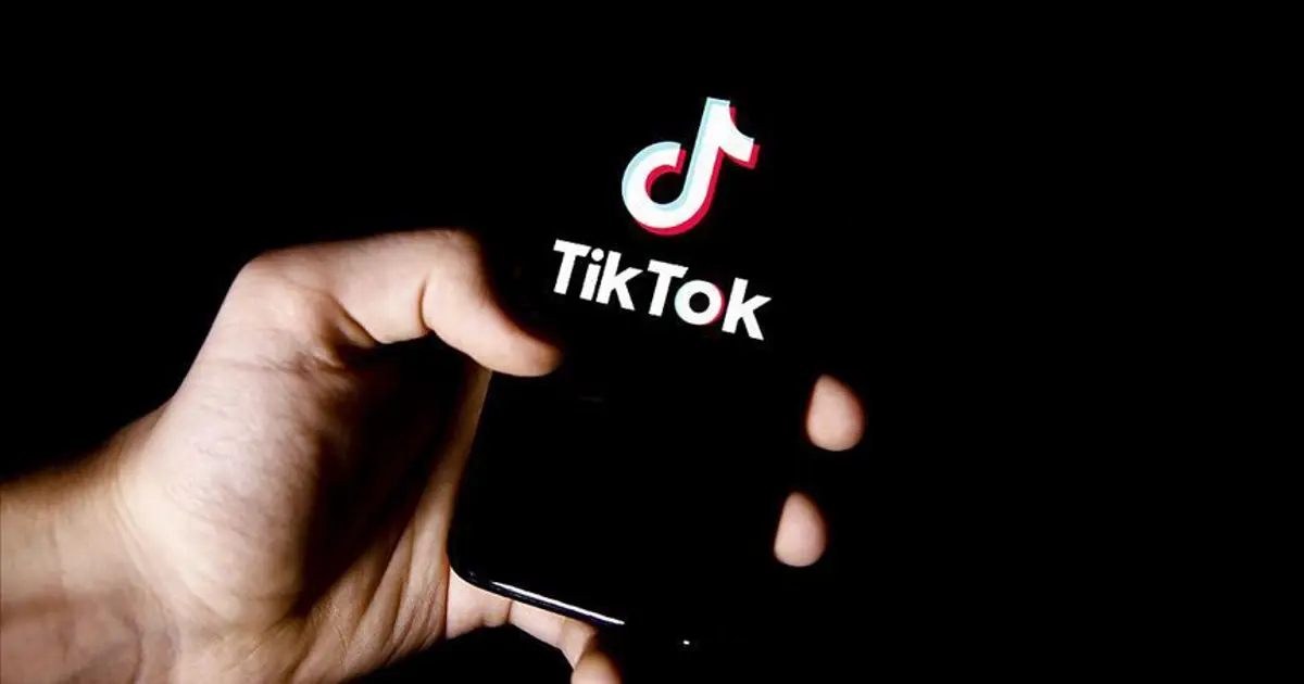TikTok Türkiye raporuna ilişkin bilgi veya verileri temsil eden görsel
