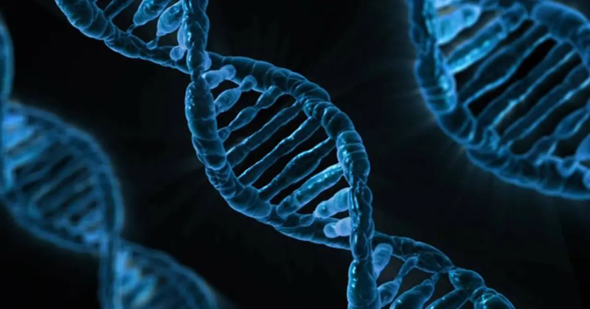 İnsan DNA yapısına ilişkin laboratuvar ekipmanları ve sonuç ekranlarına atıf eden, bilimsel araştırma bağlamını çağrıştıran görsel