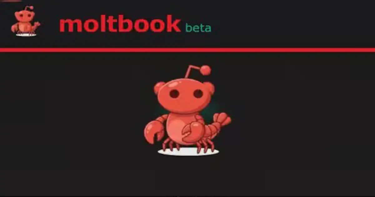 Moltbook başlıklı yapay zeka platformuyla ilgili soru ve tartışmayı yansıtan görsel