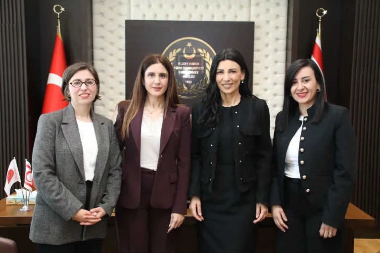 Özdenefe, KKTC Gayrimenkul Değerleme Uzmanları Birliği heyetiyle görüşüyor