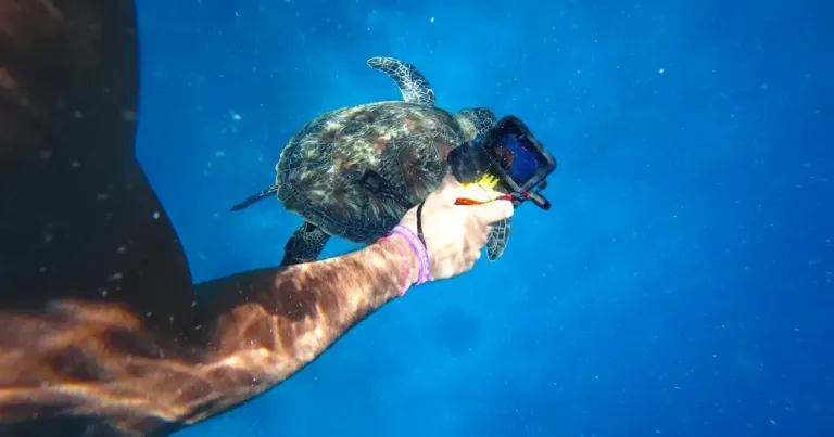 GoPro logosu ve şirket binası ön cephesi, satış haberini yansıtan görüntü