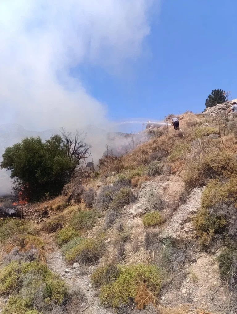Taşkent ile Güngör arasında çıkan yangının söndürüldüğü alana ilişkin görüntü