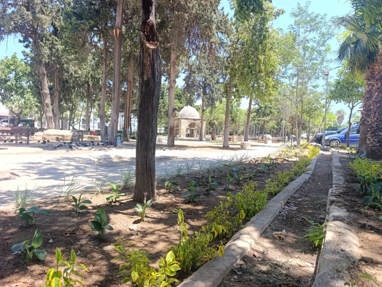 Baldöken Osmanlı Mezarlığı’nda yürüyüş yolu ve peyzaj çalışması yapılan mezarlık alanı