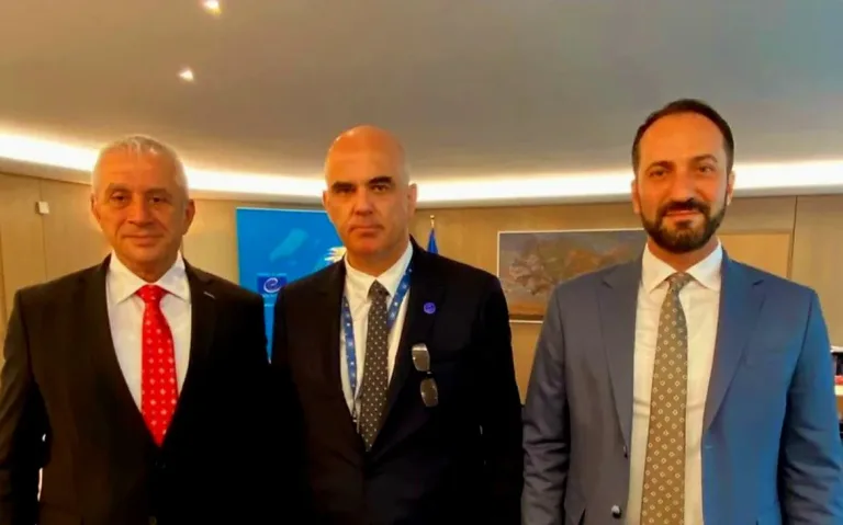 Cumhuriyet Meclisi heyeti ve Avrupa Konseyi Genel Sekreteri Alain Berset görüşürken, resmi ortamda el sıkışma veya konuşma anı