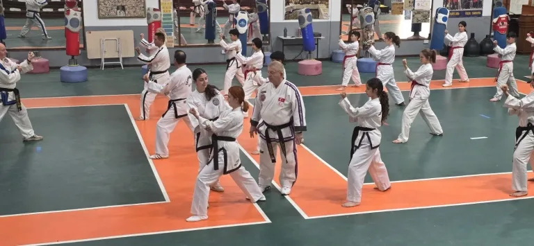 Taekwondo sporcuları anma töreni sırasında madalya ve bayraklarla sıralanmış halde