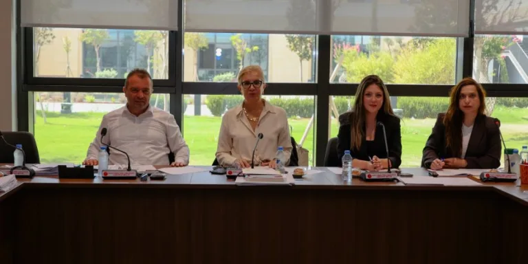 Kamu mali yönetimi ve kontrol yasa tasarısının görüşüldüğünü belirten basın toplantısı veya inceleme ortamı