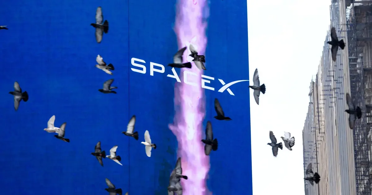 SpaceX logosu ve düşen hisse grafiklerini çağrıştıran kompozisyon