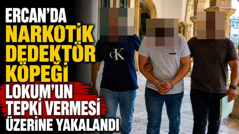 Narkotik dedektör köpeği Lokum’un tepki vermesi üzerine yakalanan kişi gözaltında