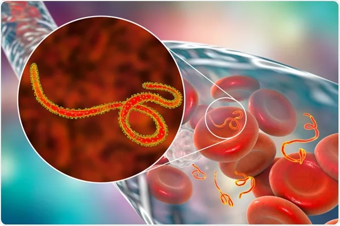 Bulaşıcı Hastalıklar Üst Komitesi’nden Ebola açıklaması – BRTK