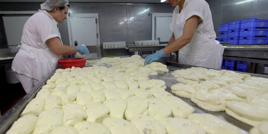 Güneyde hellimin geleceği konusunda iki olası senaryo üzerine konuşan yetkililer veya uzmanlar