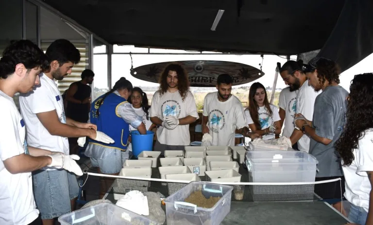 Yavru deniz kaplumbağalarının denize salındığı an