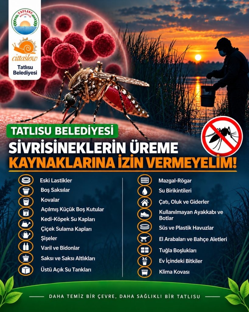 Tatlısu Belediyesi, Batı Nil Virüsü’ne karşı sivrisinekle mücadele çalışmalarını yoğunlaştırdı