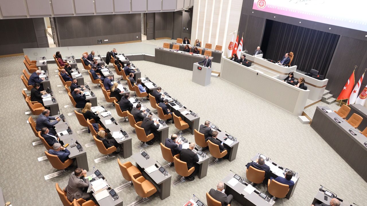 Meclis binası dış cephesi, giriş kapısına doğru yaklaşan sazılı bir atmosfer