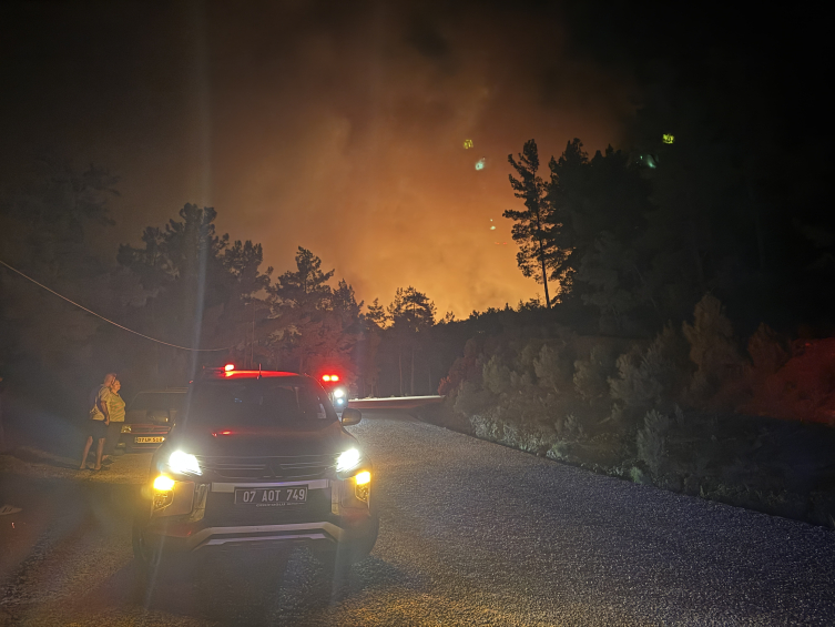 Alanya'da ormanlık alanda yangın çıktı