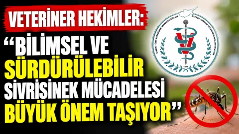 Veteriner hekimlerin sivrisinek mücadelesinin bilimsel ve sürdürülebilir olması gerektiğine vurgu yaptığı haber görseli