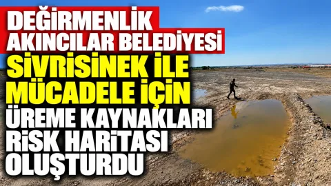 Değirmenlik Akıncılar Belediyesi ekipleri, sivrisinek üreme kaynaklarını gösteren risk haritası üzerinde çalışıyor