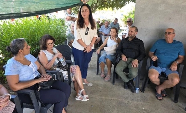 Çözüm önerileri paylaşılan toplantı veya belgeleri çağrıştıran nötr, bilgi odaklı sahne