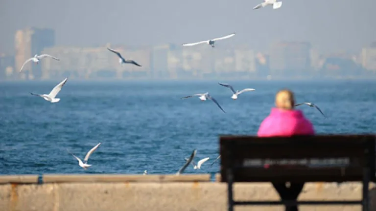 Yeni haftada artacak soğuk hava etkisini simgeleyen kış havası ve rüzgarlı hava öğeleri