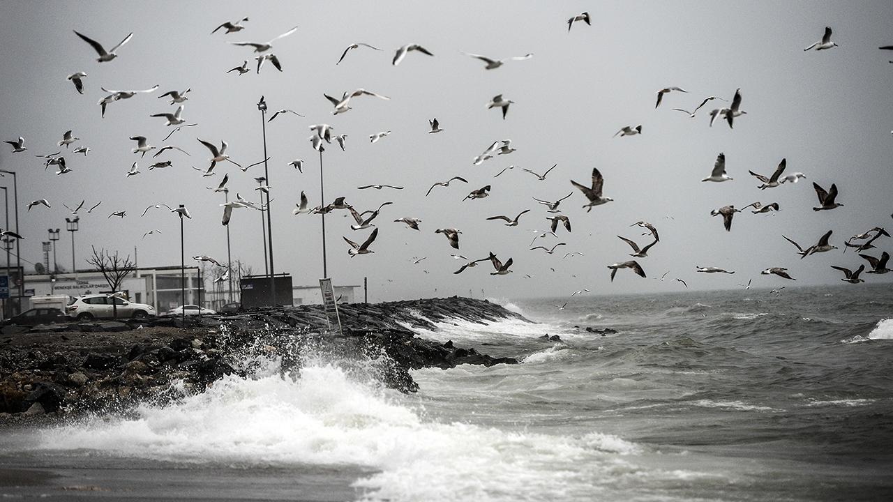 istanbul-saganak-2069266.jpg