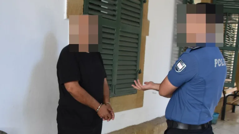 Haspolat bölgesinde ele geçirilen 5 ton 880 kilogram kaçak et paketleri ve etiketleri
