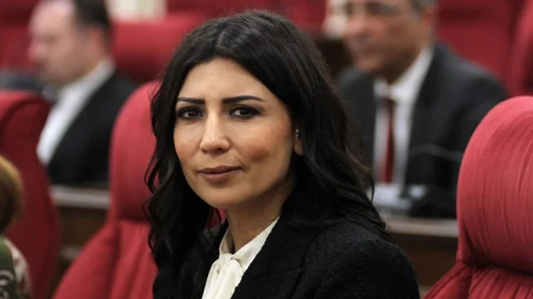 Özdenefe konuşurken mikrofon önünde, kadınları koruyan sistem vurgusu yapan bir panel veya toplantı görüntüsü