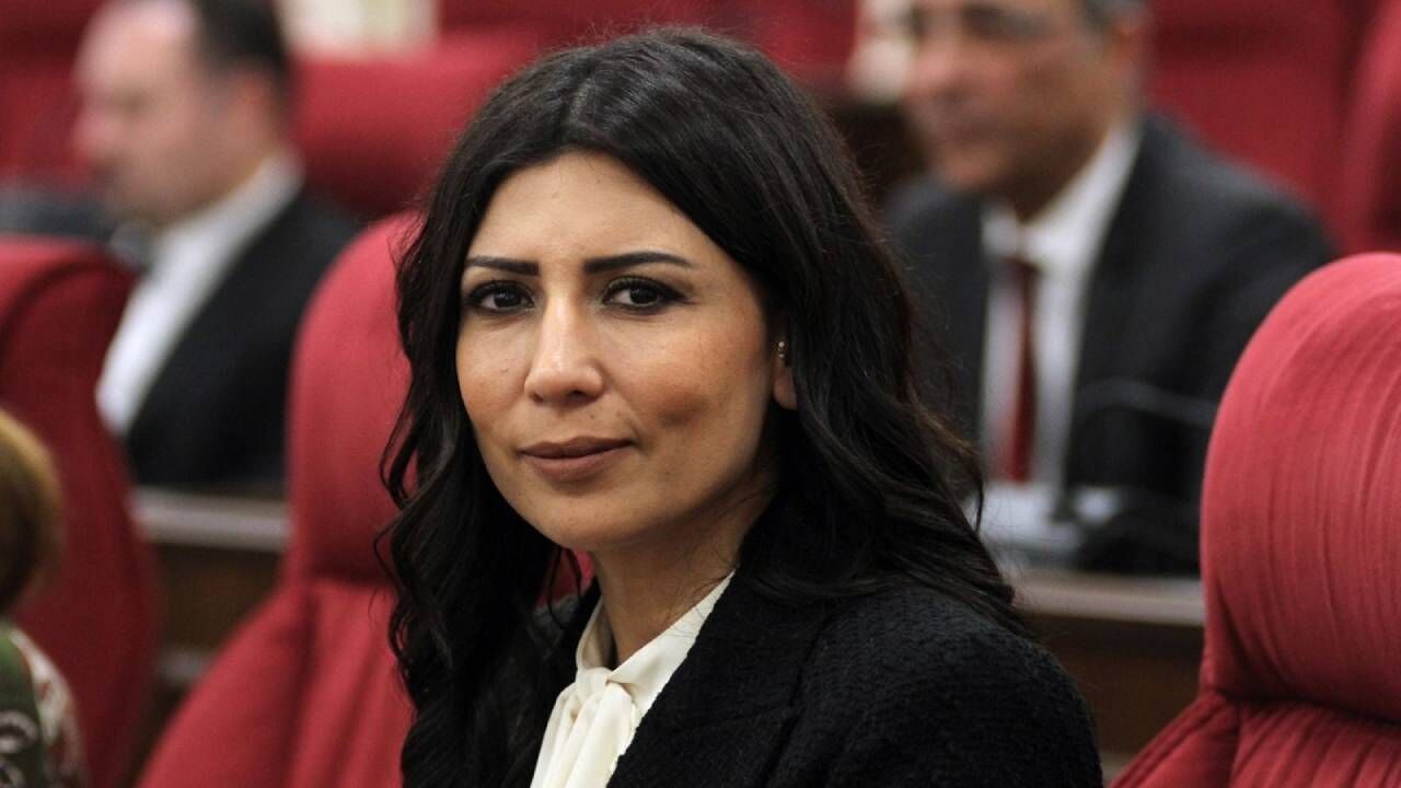 Özdenefe konuşurken mikrofon önünde, kadınları koruyan sistem vurgusu yapan bir panel veya toplantı görüntüsü