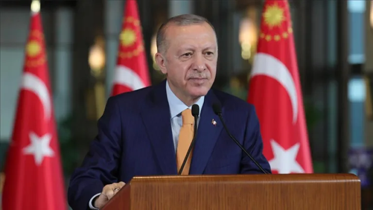 Cumhurbaşkanı Erdoğan konuşma yaparken mikrofonların önünde görülüyor