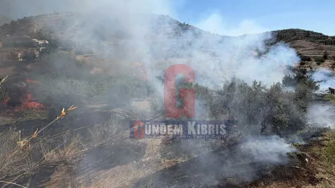 Kuru otların kontrolsüz yanışı sonucu yükselen alevler ve duman