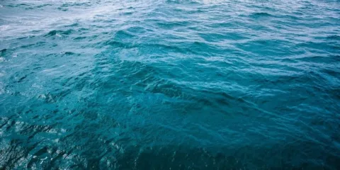Denizde veya su kenarında kurtarma anına dair belirsiz sahne, kurtarma ekipleri ve yaralanan kişiler bulunuyor