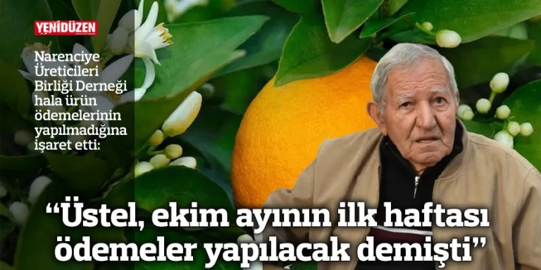 Üstel açıklama yaparken konuşuyor, arka planda mikrofon ve Türkiye bayrağı görünüyor olabilir