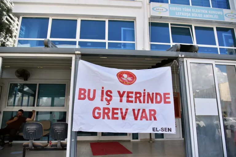 EL-SEN üyeleri genel grev sonrası açıklama yapıyor; Tuğcu iş sağlığı ve güvenliği taleplerinin karşılıksız kaldığını belirtiyor.