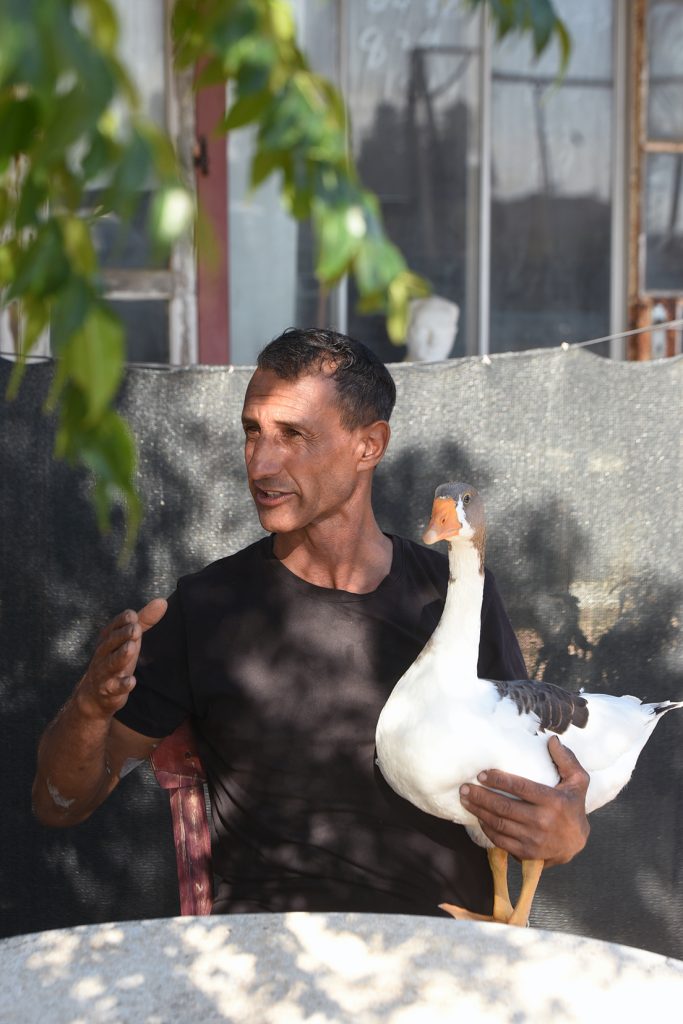 Kazlara fısıldayan adam: Tümer Debreli