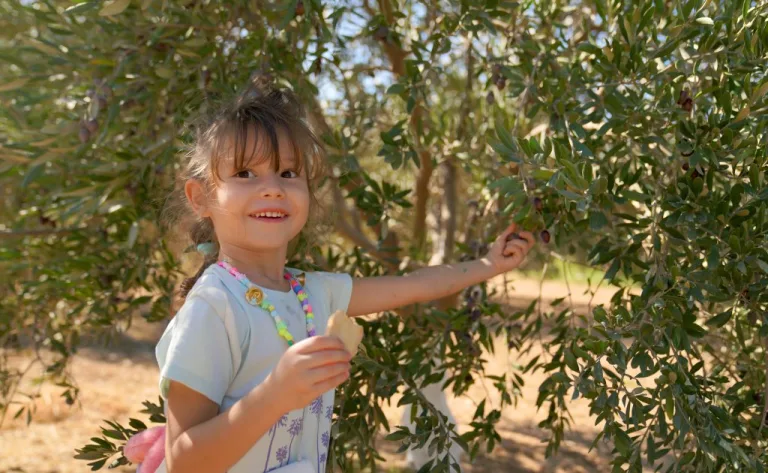 7. Ecolive Hasat Festivali duyurusu — Pazar günü Akdeniz bölgesinde gerçekleştirilecek etkinlik ilanı