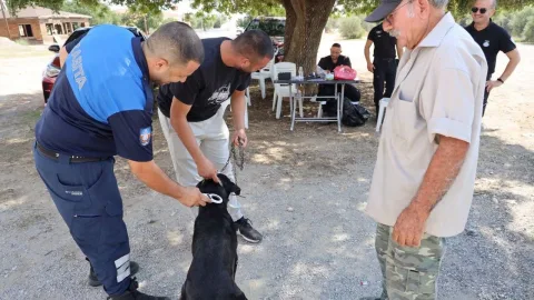Ruhsatlandırma ve çipleme işlemleriyle ilgili duyuru metni veya ilan panosu