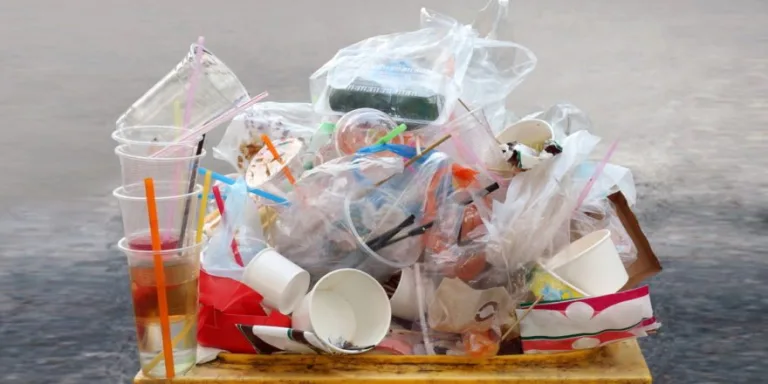 Kıbrıs haritası ve geri dönüşüm sembolleriyle plastik atık vurgusu