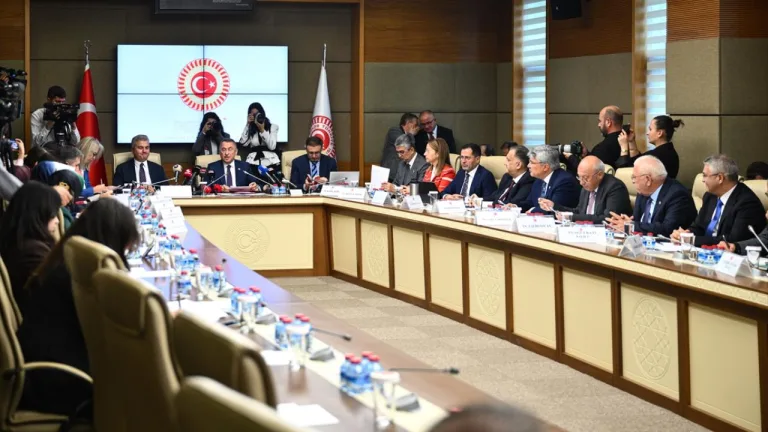 Mekke Anlaşması ile ilgili TBMM Dışişleri Komisyonu toplantısına ilişkin görsel