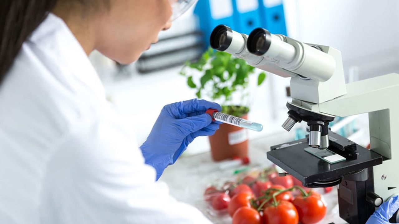 Gıda denetimi yapılan laboratuvar ortamında numuneler ve denetim raporları üzerine odaklanmış görüntü