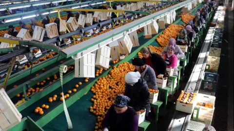 İhracat verilerini simgeleyen ticaret, liman veya fabrika temalı bir görsel (detaylar belirtilmemiş).