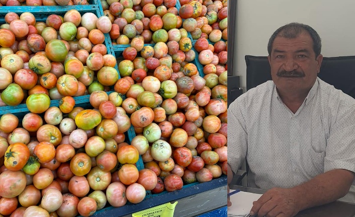 Türkiye’den yola çıkan 150 tonluk gönderinin taşındığı tırlardan biri