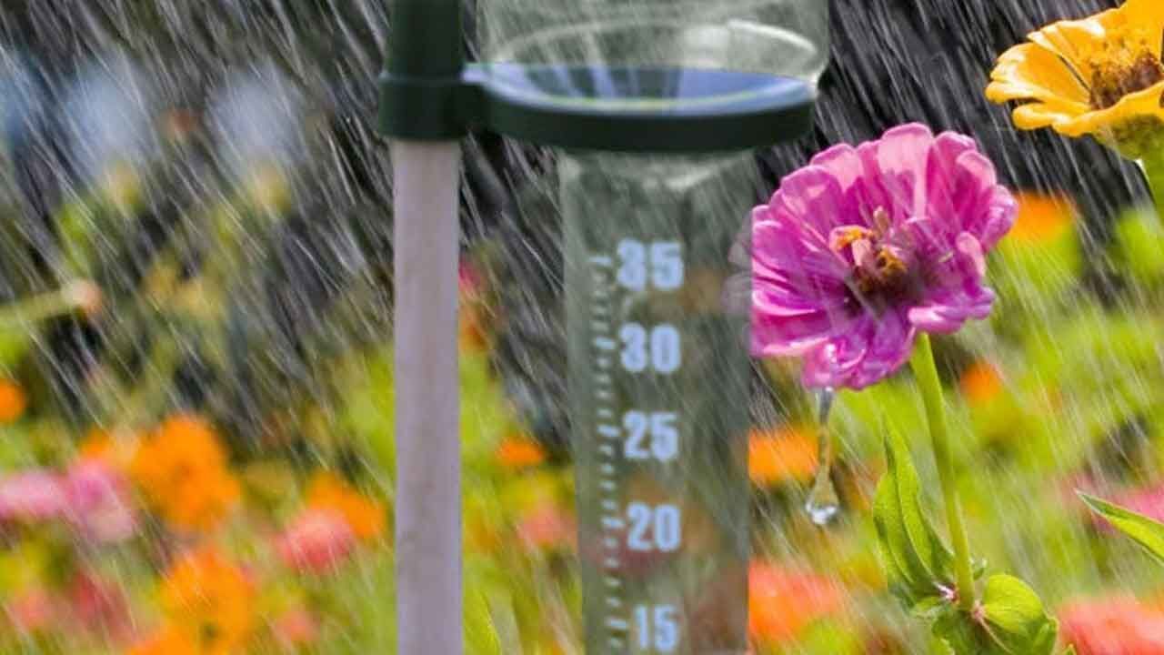 En fazla yağışı gösteren harita veya grafik; ölçüm değeri 43 kilogram görünüyor