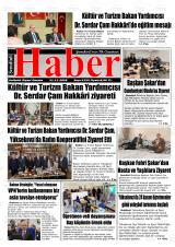 ŞEMDİNLİ HABER