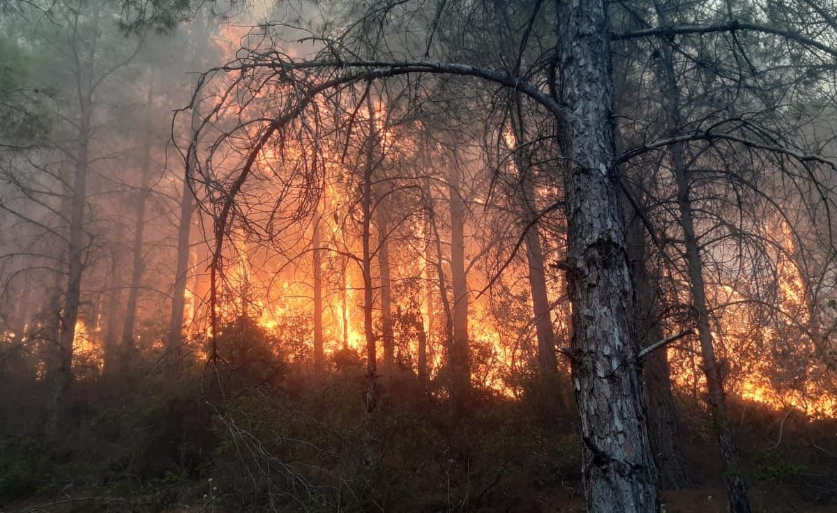 “Zamanında tedbir almak, yangını söndürmekten daha kolaydır” – BRTK