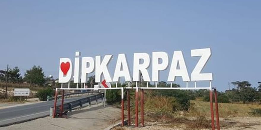 Karpaz Koruma Derneği Başkanı Çebi, adil politika çağrısı yaptı – BRTK