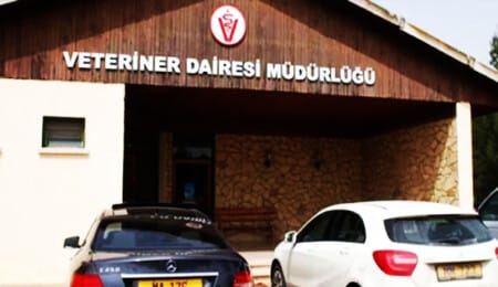 Son tarih 30 Haziran – BRTK