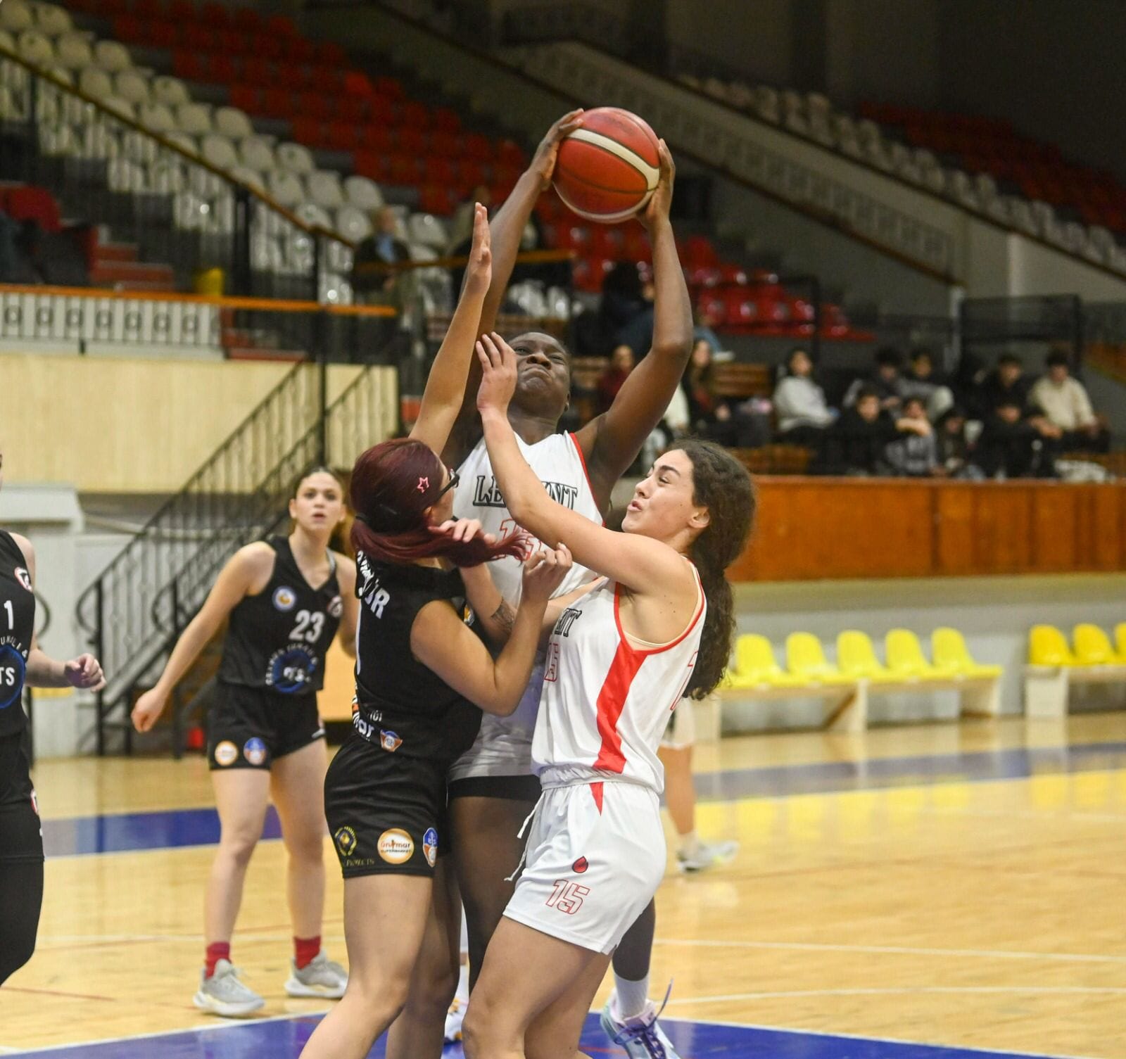 Basketbol Kadınlar Ligi başlıyor – BRTK