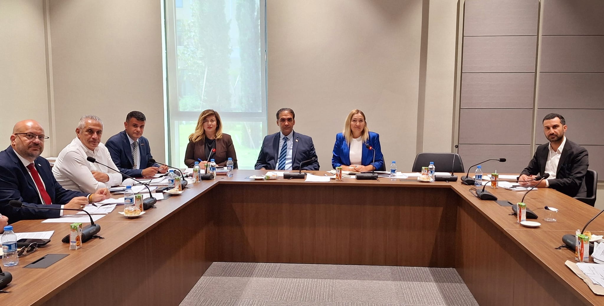 Cumhuriyet Meclisi, Hukuk, Siyasi İşler, Dışilişkiler ve Savunma Komitesi toplandı – BRTK