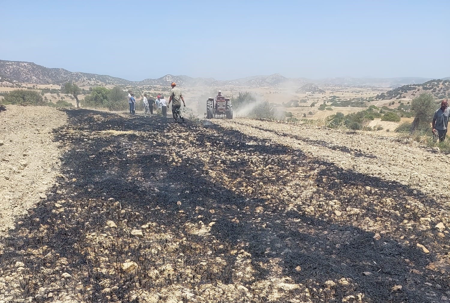 Mehmetçik yakınlarında arazi yangını – BRTK