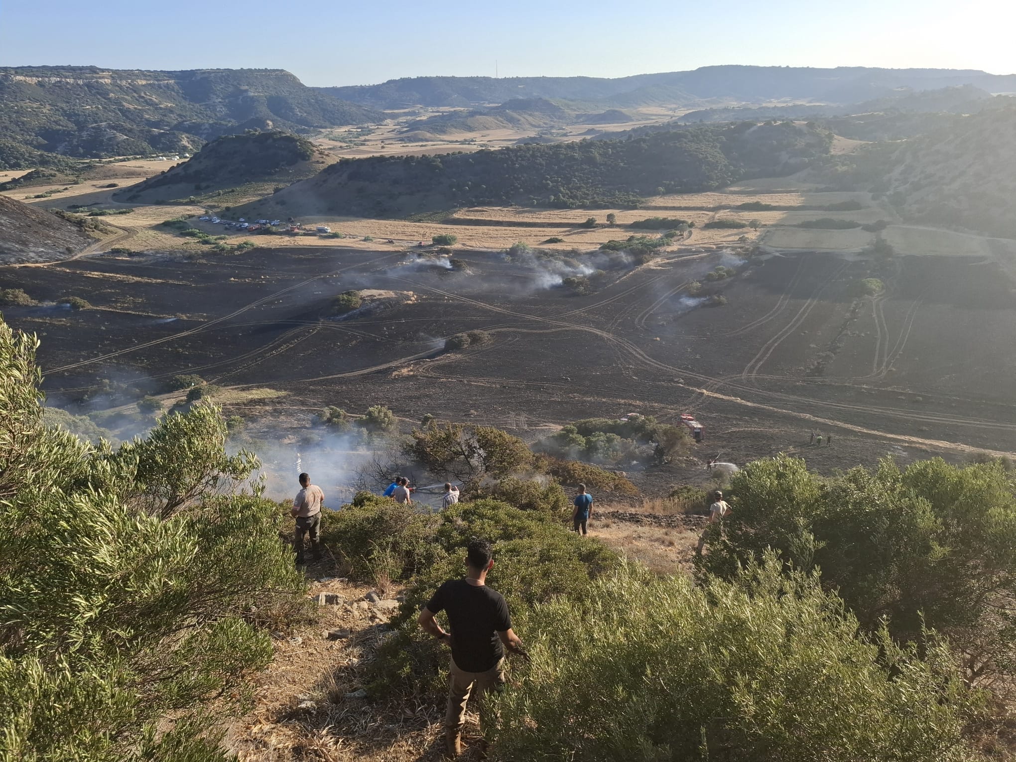 Avtepe-Kuruova arasındaki yangında 400 dönüm arazi zarar gördü – BRTK